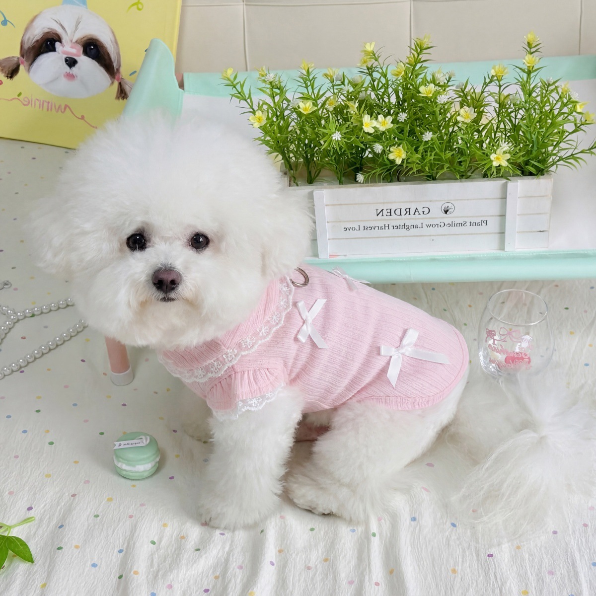 Pet Spring Lace Bow Vest Can P - Lace Teddy Lingerie のレビューと価格