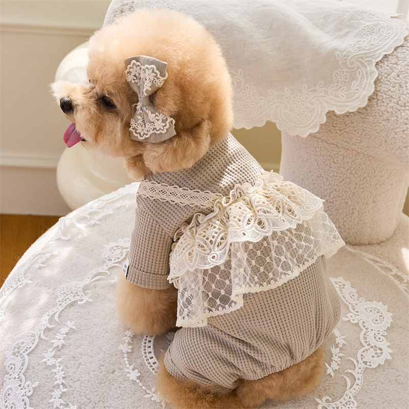 Pet Spring Jumpsuit Cute Lace  - Lace Teddy Lingerie のレビューと価格