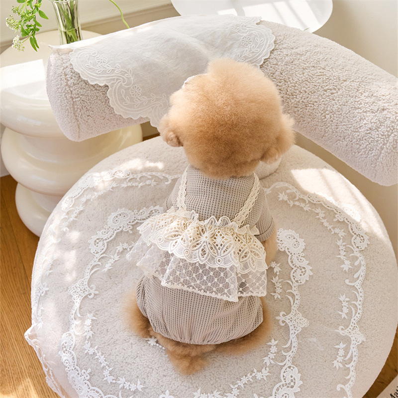 Pet Spring Jumpsuit Cute Lace  - Lace Teddy Lingerie のレビューと価格