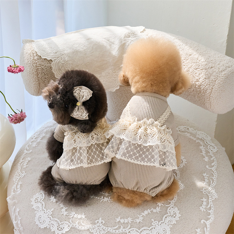 Pet Spring Jumpsuit Cute Lace  - Lace Teddy Lingerie のレビューと価格