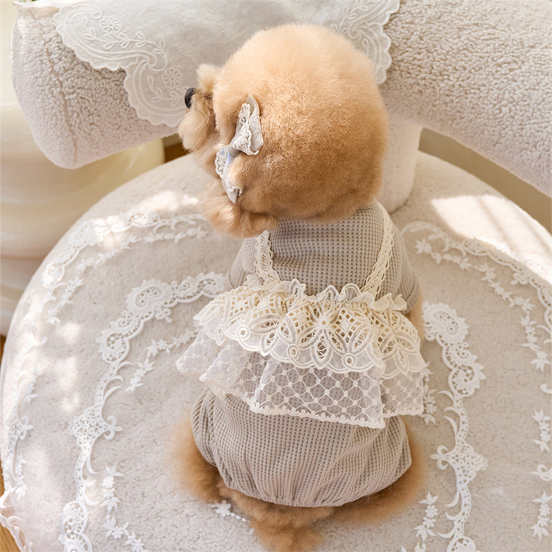 Pet Spring Jumpsuit Cute Lace  - Lace Teddy Lingerie のレビューと価格
