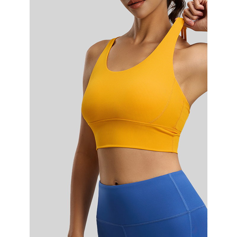 2026 New Women Ribbed High Imp - Sports Bra High Impact のレビューと価格